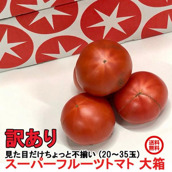 訳あり お試し フルーツトマト スーパーフルーツ トマト 大箱 20〜35玉 約2.3kg 茨城 産...