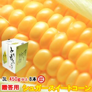 ギフト 甘い とうもろこし トウモロコシ シュガースイートコーン 約3.6kg 3L 450g以上 8本 茨城県 朝採り 当日出荷 お取り寄せ corn
