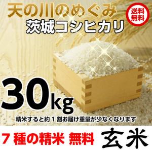 爆買 米 もち玄米 みやこがねもち 玄米 30kg 令和7年度 宮城県北