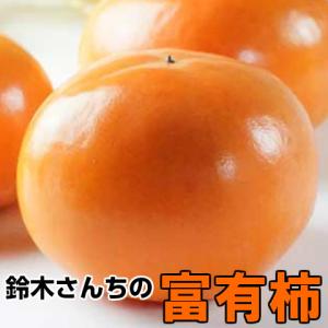 柿 ギフト 富有柿 鈴木さんちの柿 L以上 16〜10玉 約4kg かき 富有  贈答用 茨城県 産地直送 persimmon