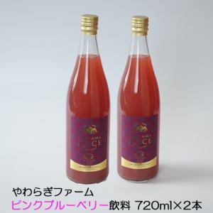 ギフト ブルーベリー ピンクブルーベリー 飲料 720ml×2本 果汁50% 無着色 無香料 贈答用 茨城県 産直｜oishiine-ibaraki