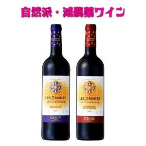 天然鉱泉いわまの甜水で抽出した本格派ストレートコーヒー 1000ml