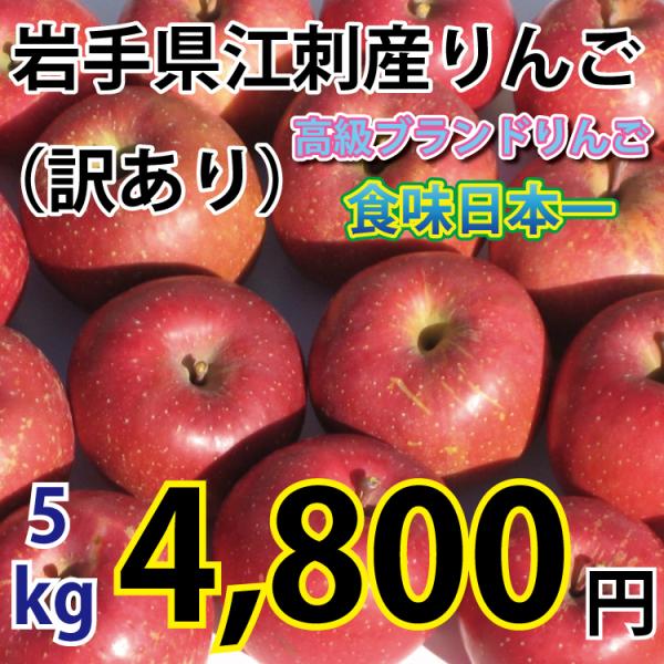 岩手県 江刺産 りんご 訳あり ５ｋｇ 大玉から小玉 約１２コから２５コ ２種類以上入る場合あり 送...