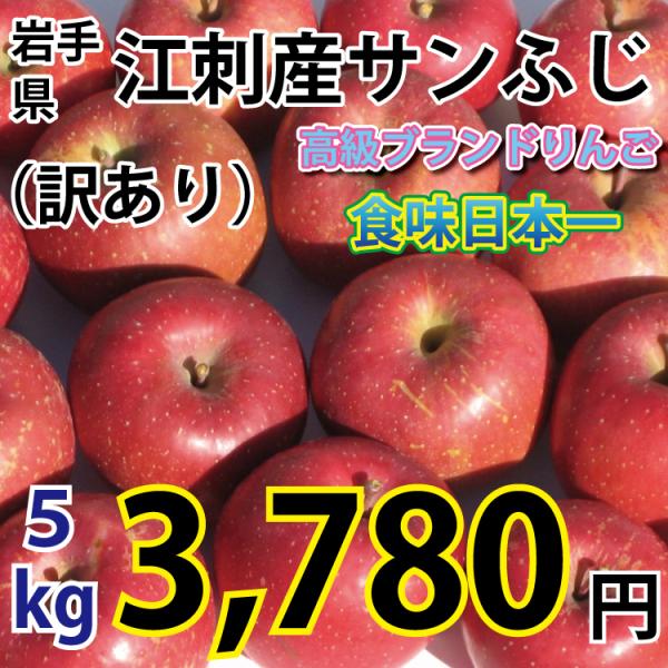 岩手県 江刺産 サンふじ （訳あり、大玉から小玉、約１２コから２５コ） ５ｋｇ　【送料無料/※一部地...