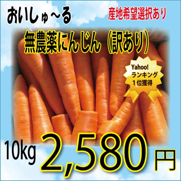 にんじん 農薬不使用 化学肥料不使用 訳あり 5kg 人参 ニンジン 送料無料の一部地域を除く 産地...
