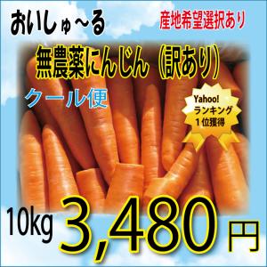 無農薬 無化学肥料 にんじん 訳あり １０ｋｇ 産地希望選択あり
