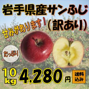 岩手県産 サンふじ ご家庭用 １０ｋｇ 送料無料 一部地域を除く｜oishule