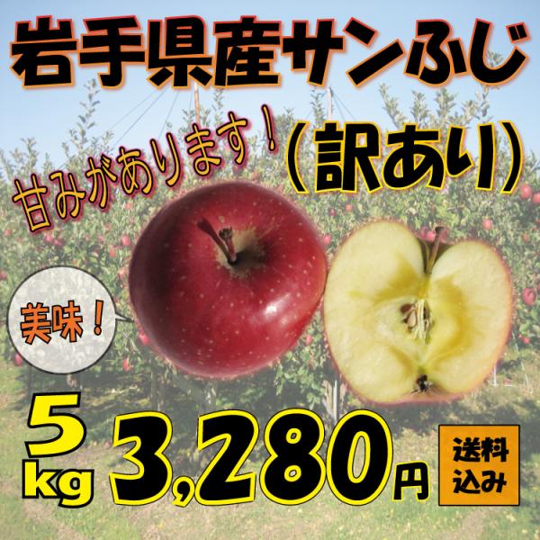 岩手県産 サンふじ ご家庭用 ５ｋｇ 送料無料 一部地域を除く