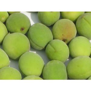 梅の実 訳あり 岩手県産 1kg