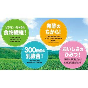 おいしい発酵青汁 日本自然発酵 (3g×30包...の詳細画像2