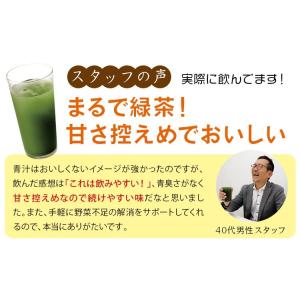 おいしい発酵青汁 日本自然発酵 (3g×30包...の詳細画像3