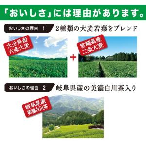 おいしい発酵青汁 日本自然発酵 (3g×30包...の詳細画像4