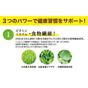 おいしい発酵青汁 日本自然発酵 (3g×30包...の詳細画像5