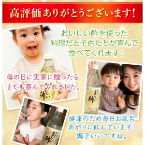 おいしい酢 日本自然発酵 955ml×3本 初...の詳細画像4