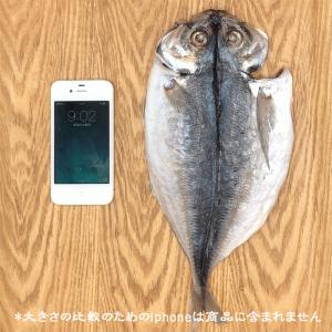 伊東 送料無料 干物 一夜干し 大トロ鯵大きく...の詳細画像1