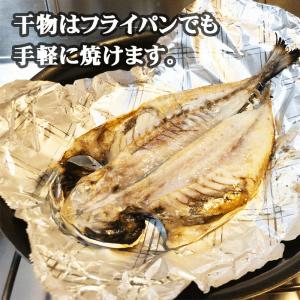 伊東 送料無料 干物 一夜干し 大トロ鯵大きく...の詳細画像3