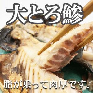 伊東 送料無料 干物 一夜干し 大トロ鯵大きく...の詳細画像4