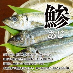 送料込 伊東 ひもの 一夜干 あじの一夜干し5...の詳細画像4