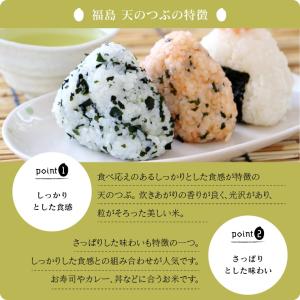 令和7年 お米 10kg 福島県産 天のつぶ ...の詳細画像3