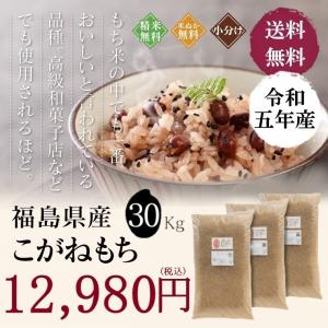 お米 米 もち米 福島県産 こがねもち 30kg 送料無料 精米 令和3年産 一等米｜oisiiokomedesu