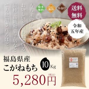 米 お米 10kg もち米 福島県産 こがねもち 送料無料 精米 令和５年産