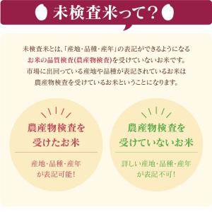 米 お米 10kg 農家蔵出し米 ブレンド米 ...の詳細画像4