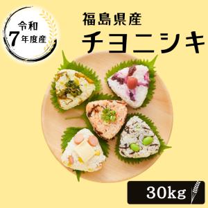 令和7年 お米 30kg 福島県産 チヨニシキ ...の商品画像