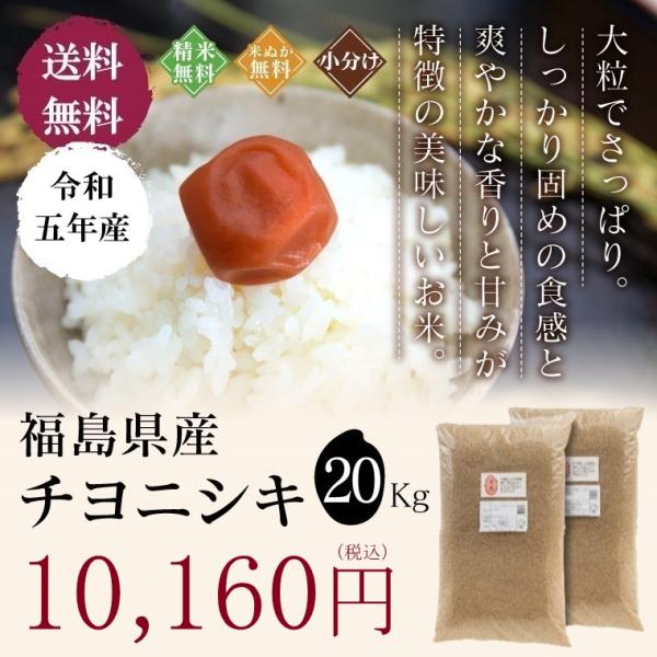 米 お米 20kg 福島県産 チヨニシキ 無洗米 送料無料 精米 令和５年産