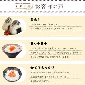 令和7年 お米 10kg 福島県産 ミルキーク...の詳細画像3