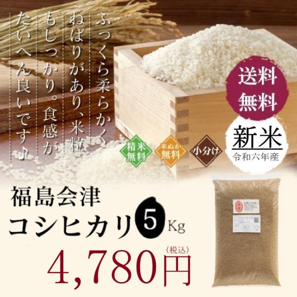 米 お米 ５kg 福島会津産 コシヒカリ 無洗米 送料無料 特A 精米 令和５年 一等米