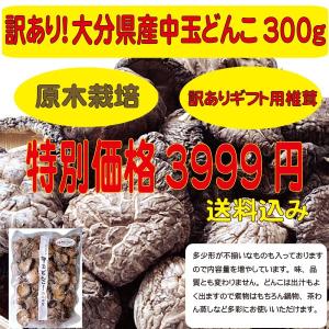 大分県産中玉どんこ300ｇ(原木栽培/訳あり/大容�