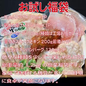 惣菜お試し福袋（大分県/宇佐市/ギフト/唐揚げ/�