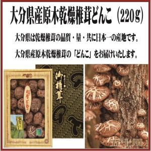 大分県産どんこ椎茸　220ｇ（大分県/佐伯市/五十川/椎茸/どんこ/贈り物/お歳暮/中元）｜oita-bussan