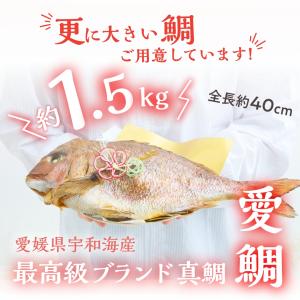 お食い初め 花むすびえん お食い初め膳 はれも...の詳細画像5