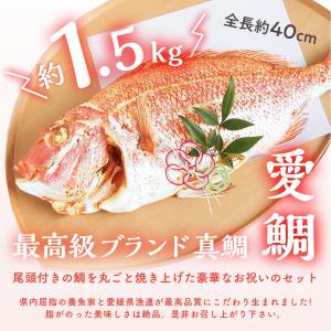 お食い初め 花むすびえん お食い初め膳 もえみ...の詳細画像5