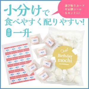 一升餅 1歳 誕生日 一升餅 9点セット 小分...の詳細画像1