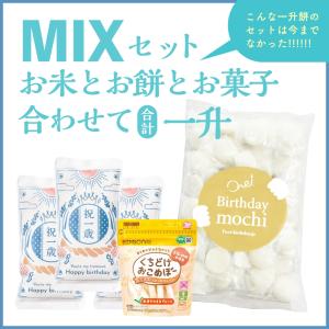一升餅 一升米 ミックス 8点セット 小分け ...の詳細画像1