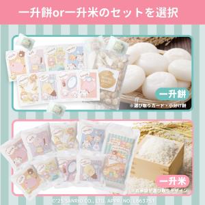 【セット販売】サンリオキャラクターズ お食い初...の詳細画像4