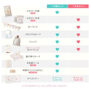 【セット販売】サンリオキャラクターズ お食い初...の詳細画像5