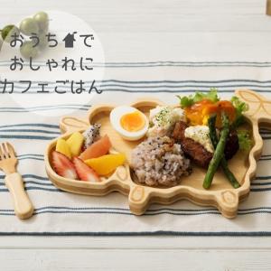 お食い初め 名入れ可能 agney アグニー ...の詳細画像2
