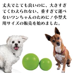 サッカーボール Jolly Soccer Ba...の詳細画像2