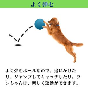 サッカーボール Jolly Soccer Ba...の詳細画像5