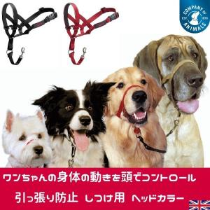 ヘッドカラー (0号) マズル 犬用 しつけ 首輪 引っ張り防止