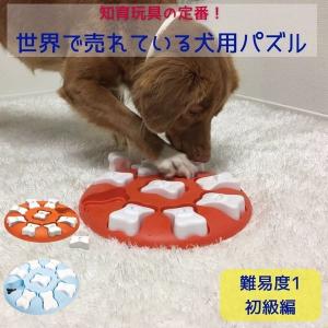 ノーズワーク 知育玩具 パズル 犬用 おもちゃ おやつ探し 洗える Nina Ottoson ニーナオットソン ドッグスマート Dog Smart 難易度1｜ojicopet