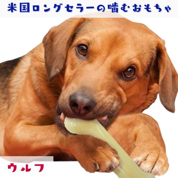 Nylabone ナイラボーン 犬用 噛むおもちゃ フィリーチーズステーキ  骨型 ボーン  [パワ...