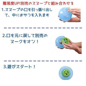 Planet Dog Orbee オービー プ...の詳細画像4