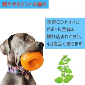 Planet Dog Orbee オービー プ...の詳細画像5