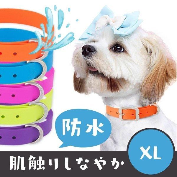 犬用 首輪 防水 PVC XL アウトドア 送料無料 おしゃれ 軽い 超大型犬 大型犬 中型犬 Re...