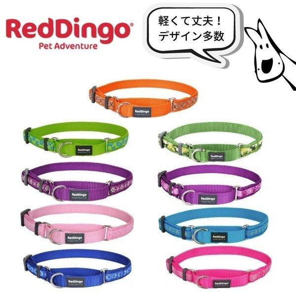 RedDingo デザインLサイズ 犬用首輪 ハーフチョーク カラー 大型犬用 レッドディンゴ
