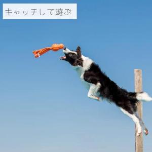 犬用 ボール コングウァバ ウバ [アニマル/...の詳細画像5